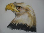 Eagle_by_Charley_Blue.jpg
